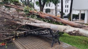 582028493_1230800599073640_1862152227926495822_n