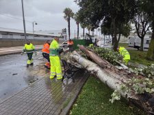 582804693_1230960389057661_3318059419923322153_n