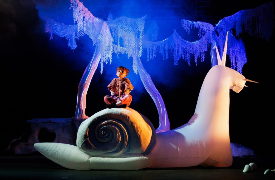 FotosElBosqueDeCoco (4)