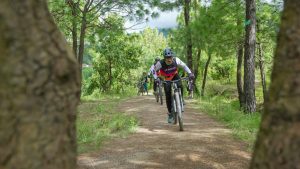 sunil-chandra-sharma-thaYITBs0jQ-unsplash