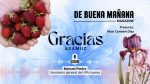 Radio Cartaya | Hermanamiento agrícola: UPA Huelva reparte fresas en el pueblo de Adamuz