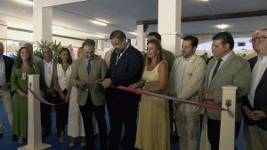 REPORTAJE_T6_E121_C_HD