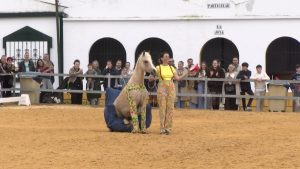 REPORTAJE_T7_E38_C_HD