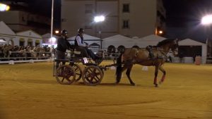 REPORTAJE_T7_E39_C_HD