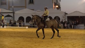 REPORTAJE_T7_E45_C_HD