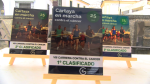 Cartaya Tv | ¡Marea Verde en Cartaya! Éxito total en la VIII Marcha Contra el Cáncer